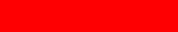 Born to Fight Banner