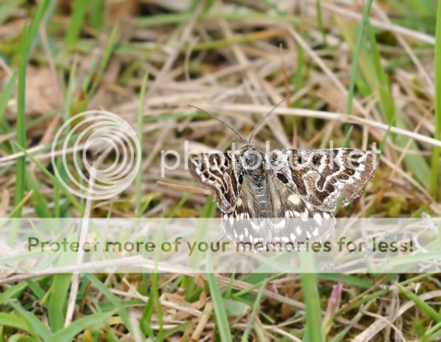 Fotografie