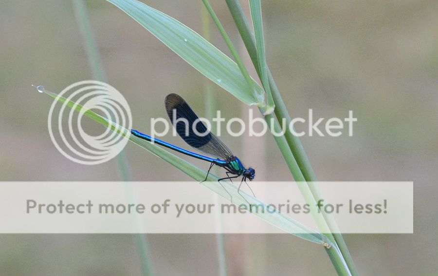 Fotografie