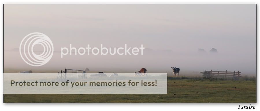 Fotografie