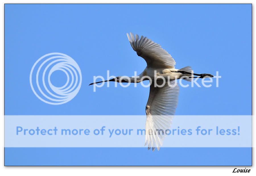 Fotografie