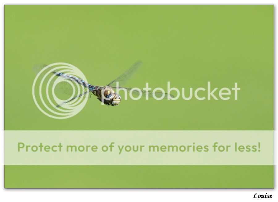 Fotografie