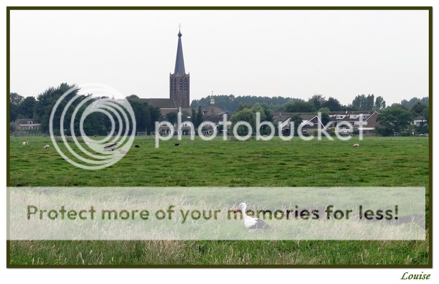 Fotografie