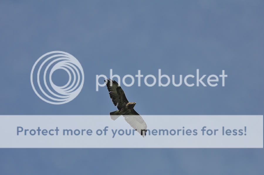 Fotografie