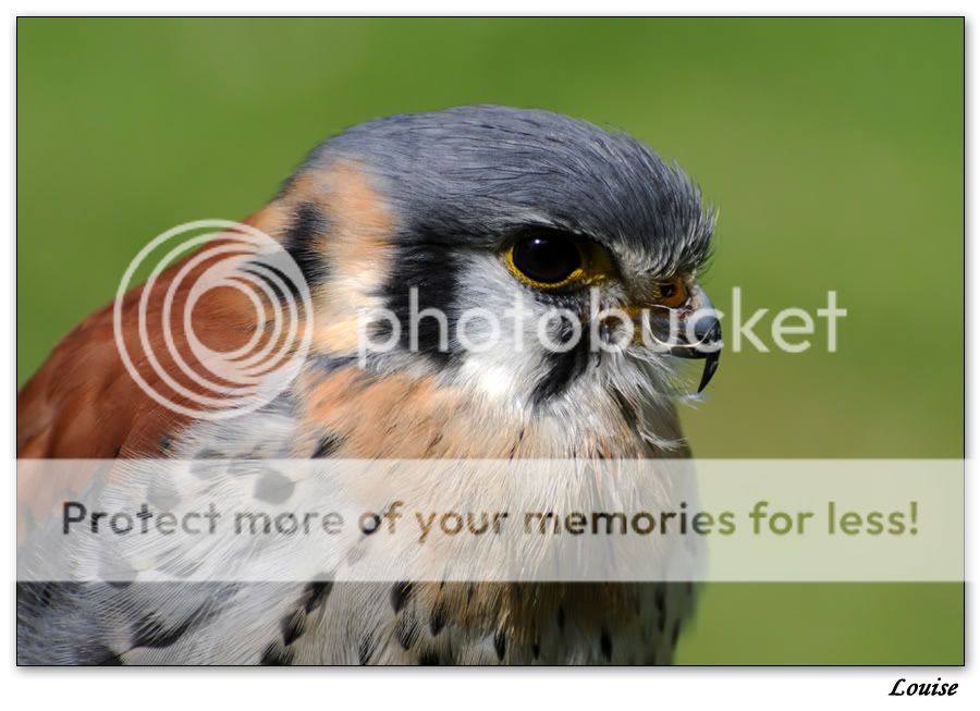 Fotografie