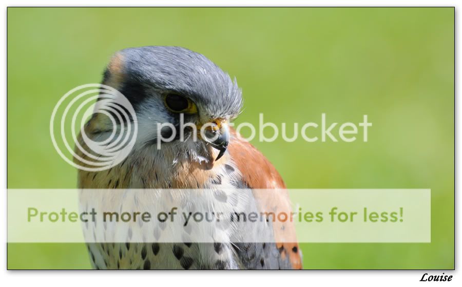 Fotografie