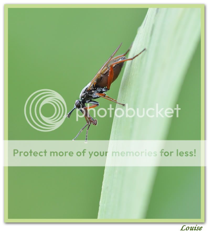 Fotografie