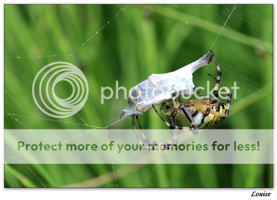 Fotografie