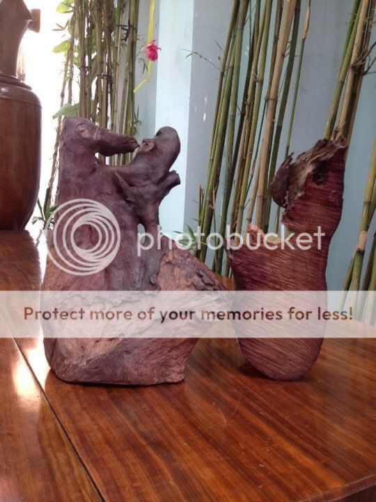 Đồ mỹ nghệ cao cấp - 14