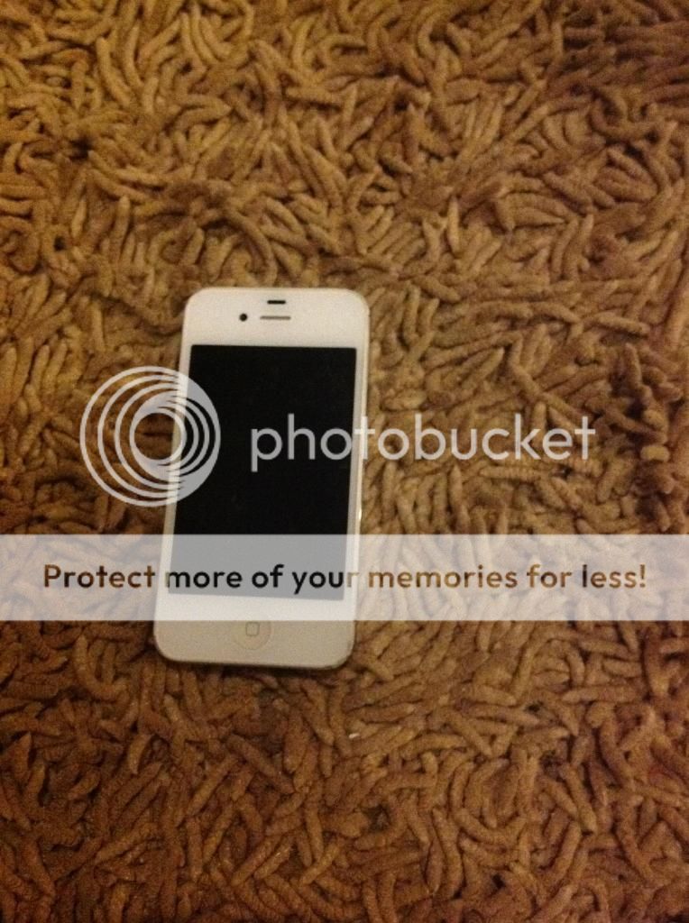 bán vài cây iphone giá tốt - 1