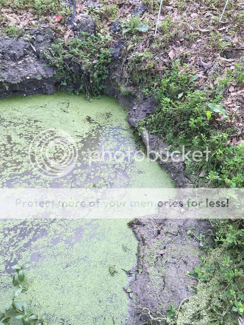 Advice/Ideas to clean out clogged cement culvert, under a driveway